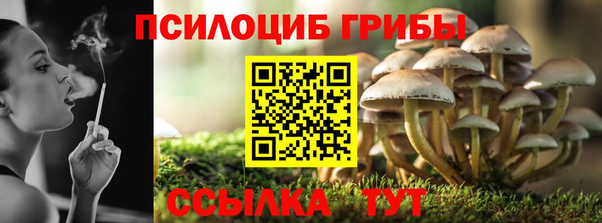 Биробиджан  Псилоцибиновые грибы мицелий  Псилоцибиновые грибы MAGIC MUSHROOMS  Вход с VPN 